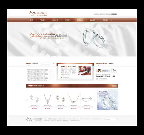 从门户到细分 探索不同领域网站设计的核心策略与制作要点